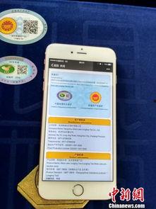 联盟通行证最新爆料信息,神秘内容曝光，游戏体验再升级！